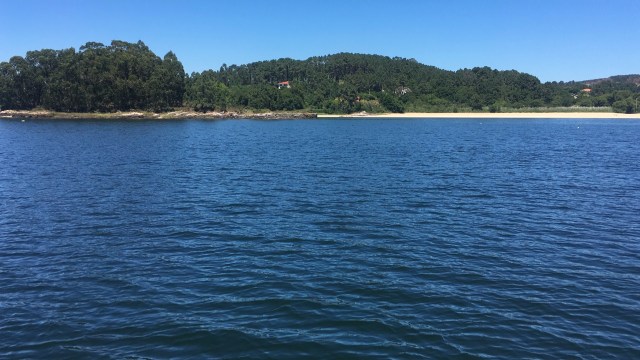 420AFB3E-5C20-4BB8-8C18-383102544400