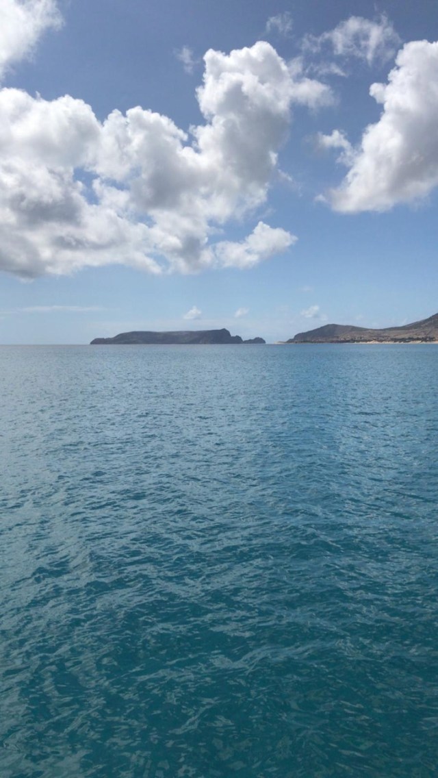 08d9a39a-45d3-4a55-ba8d-e802a23f68f0