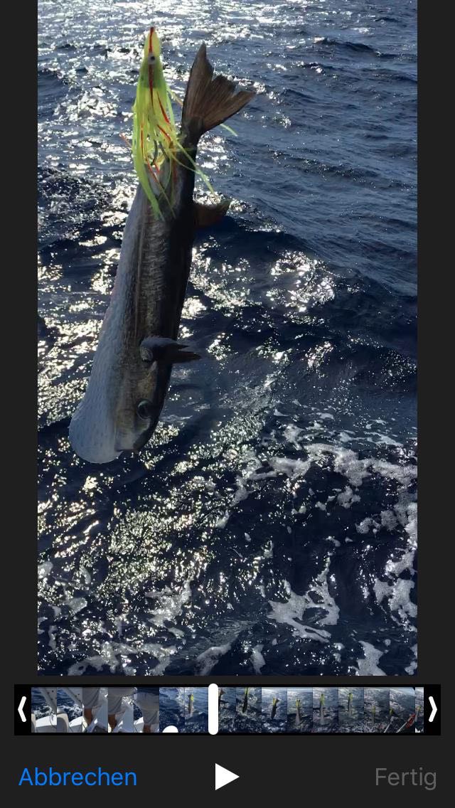 5b1c652c-1593-4f0d-a46c-826cce445918