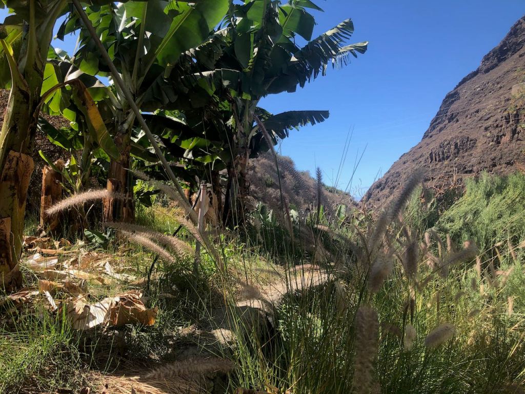 after the first rise up hill...