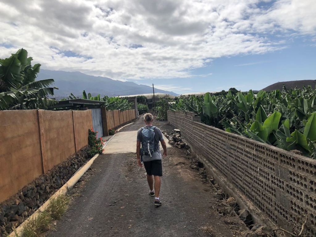 on our way to the organic plantation...