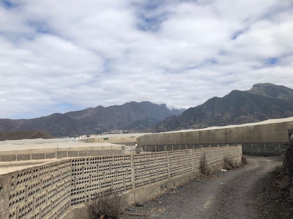 ugly and boring walk through all the plantation with no success - the organic plantation where we wanted to buy fruit and vegetable was closed😩...