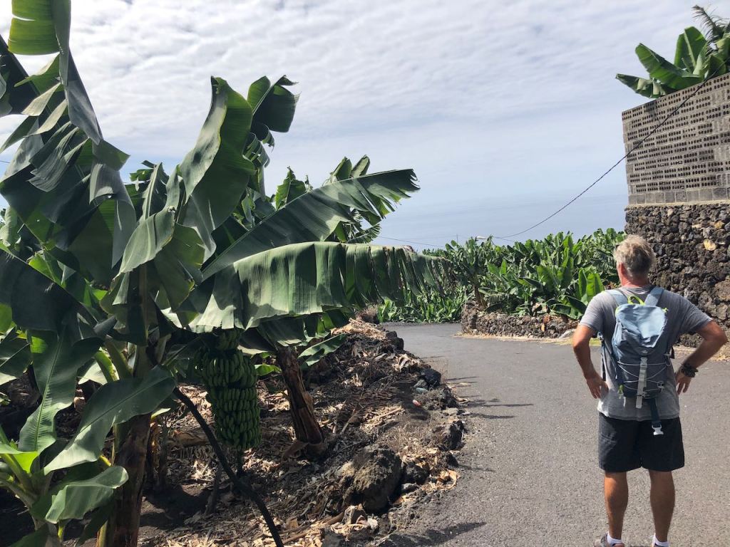 at least we had a workout. The way back we chose another route...