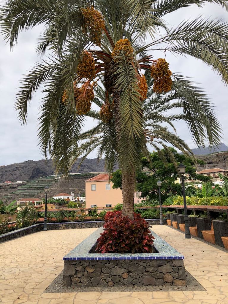 another plaza within the hacienda area...