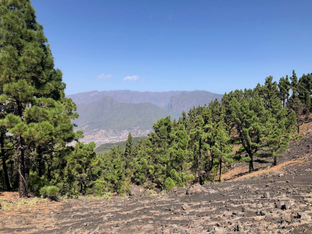 and suddenly it went ...