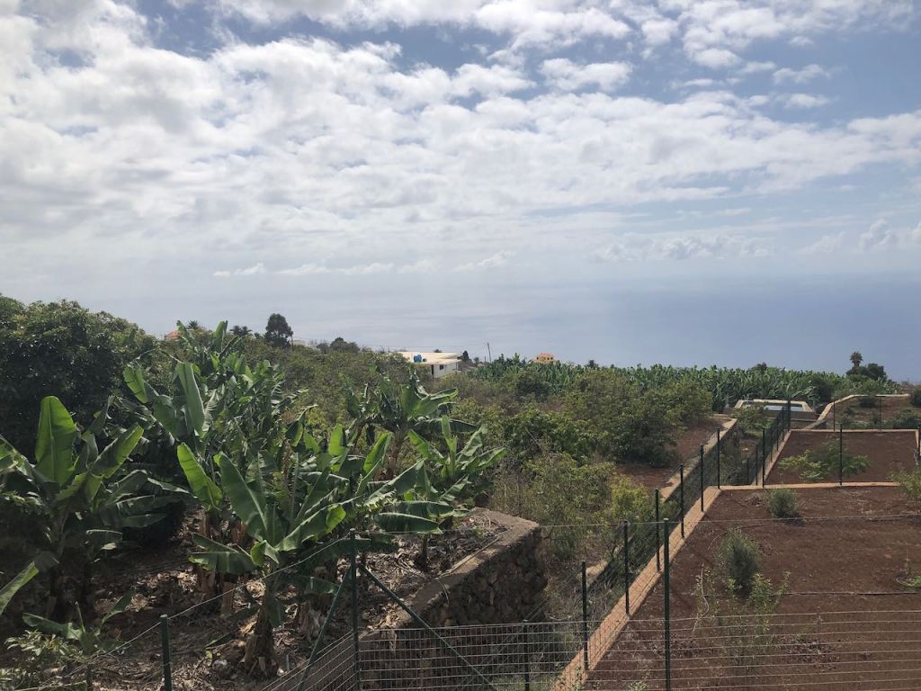 somewhere in La Punta on our way to the delicious beer