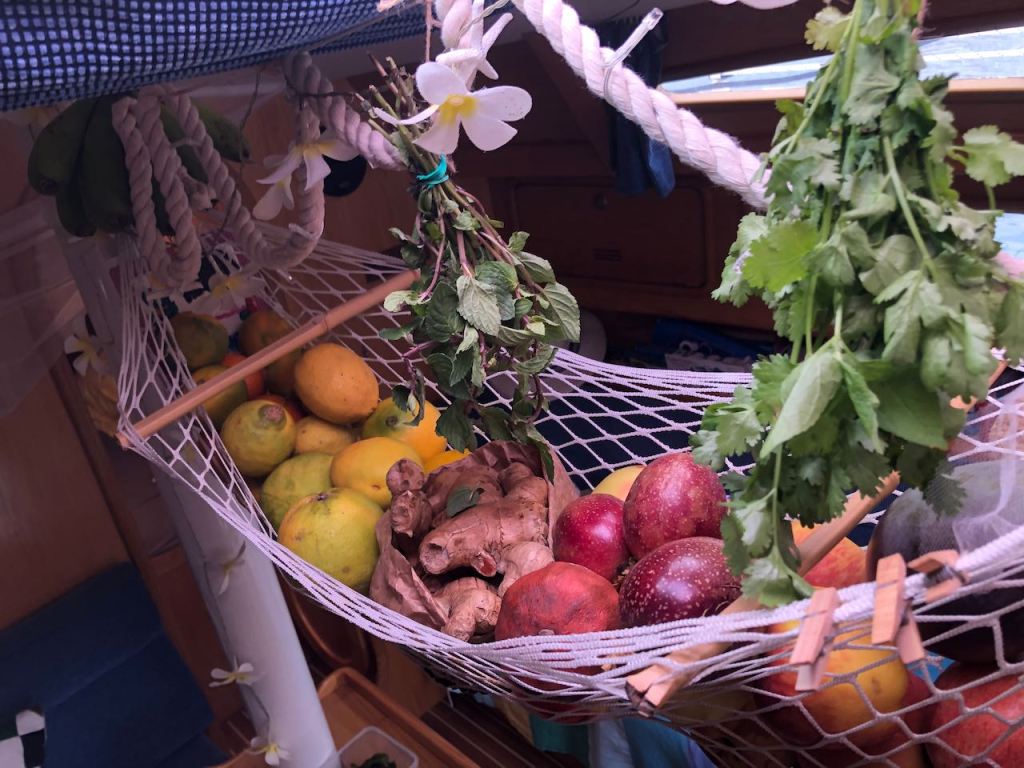 or in our fruit hammock...