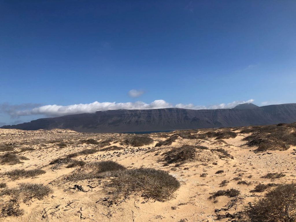 the flora is not very lush...