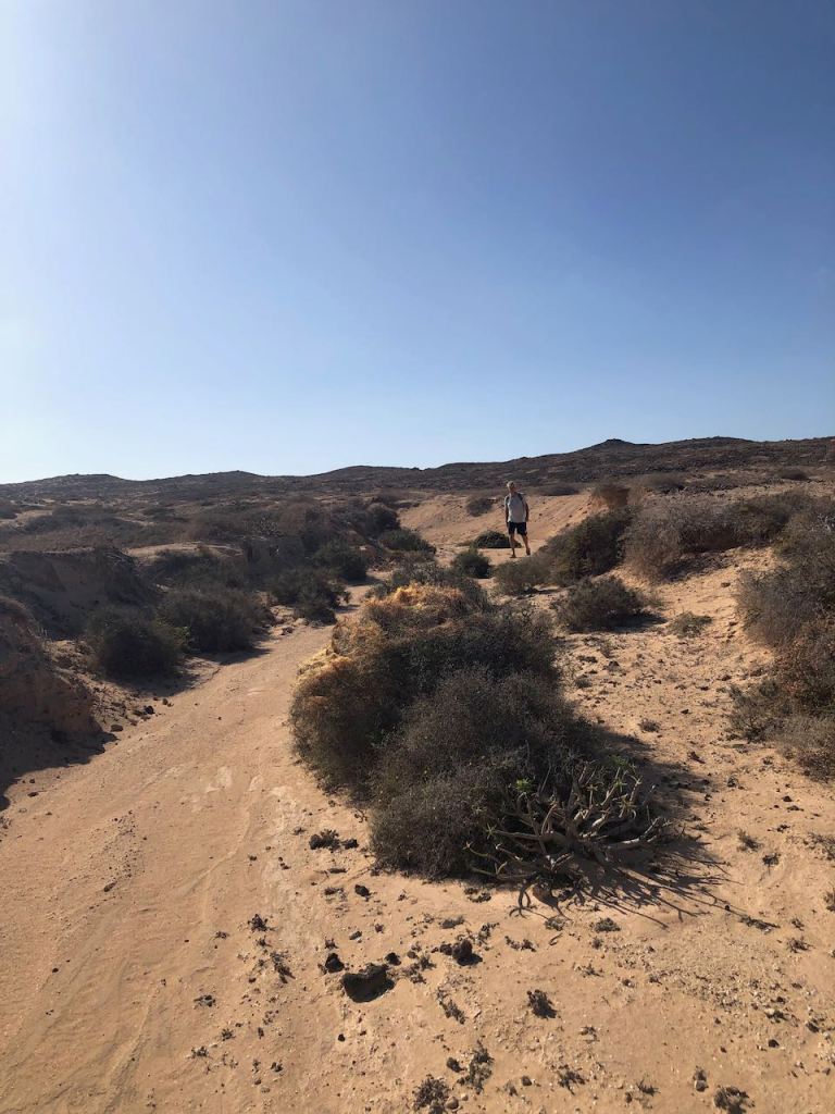 yet it is a very amazing landscape