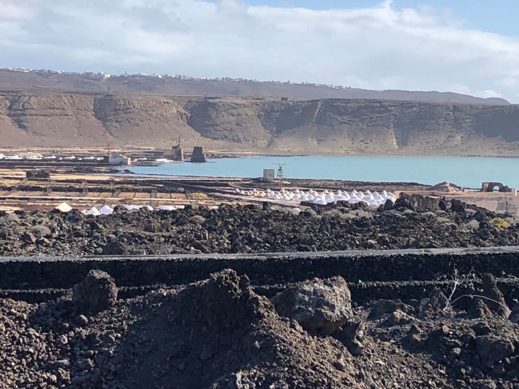 Las Salinas de Janubio