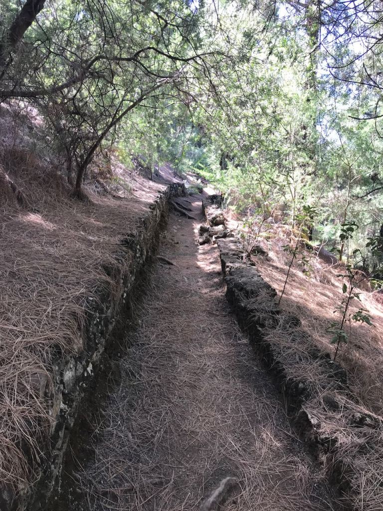 shady path  and very easy to walk - a perfect trail for me