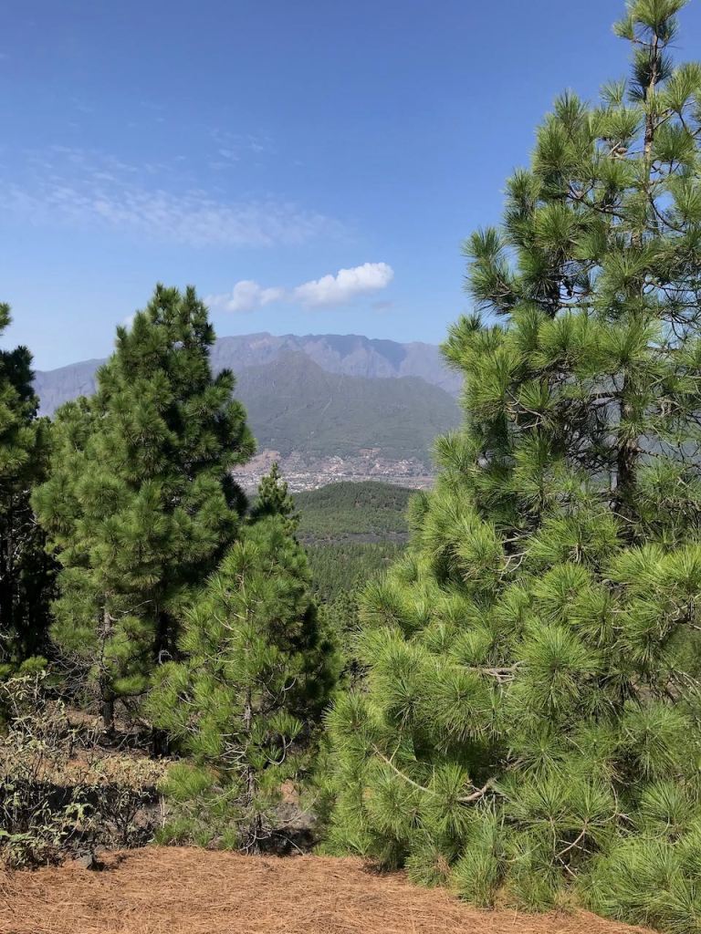 the view down to El Paso 